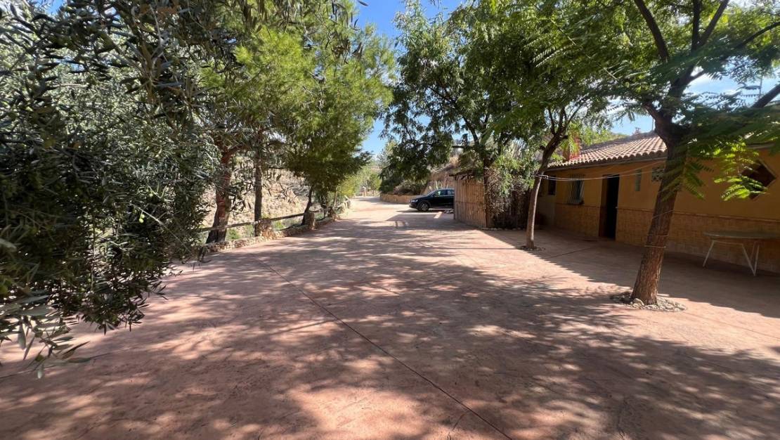 Venta - Commercial property - Abanilla - Abanilla Centro