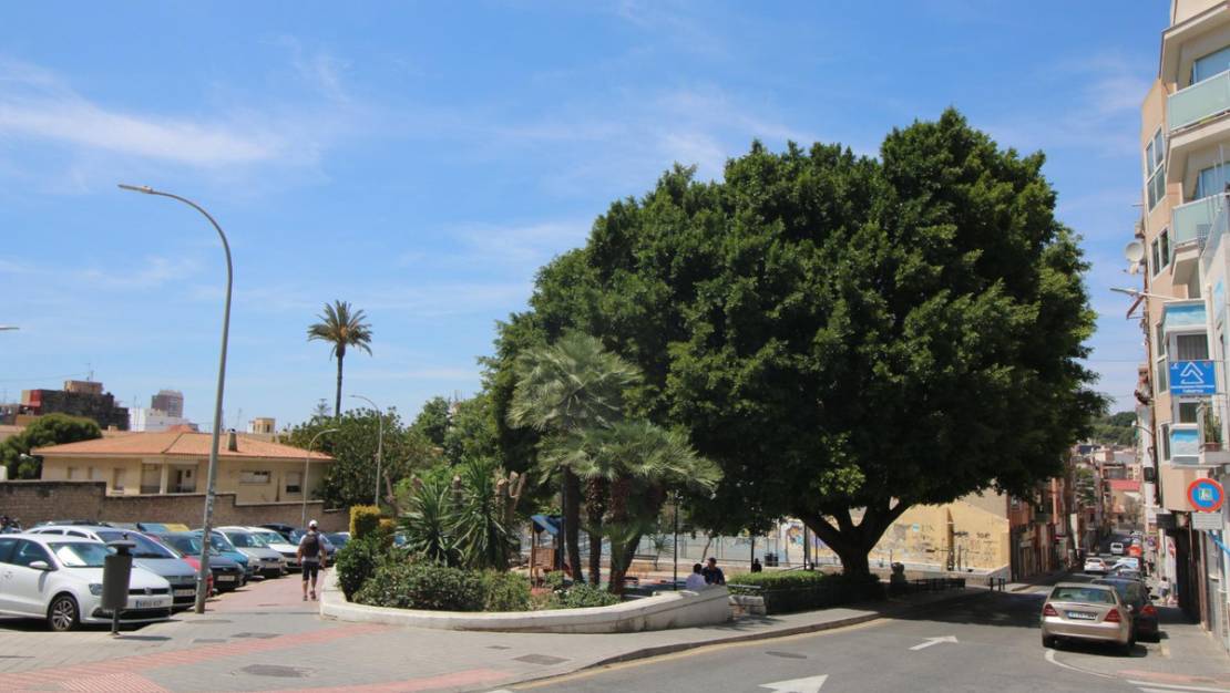 Venta - Commercial property - Alicante - Alicante Centro