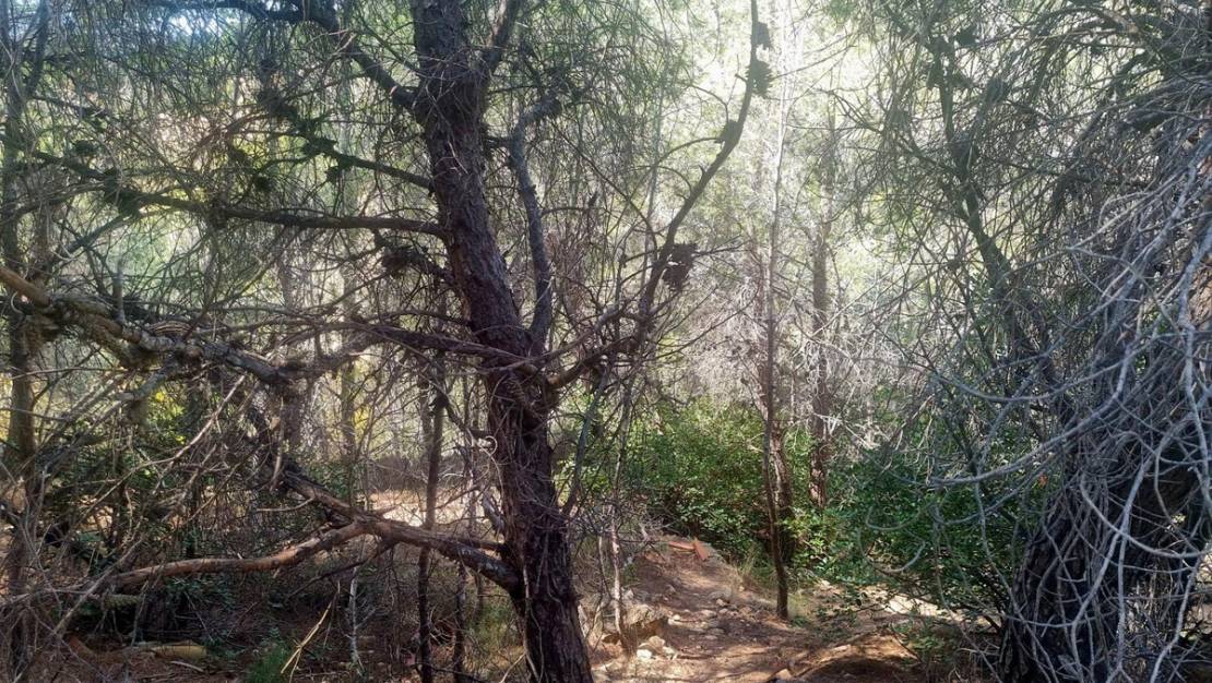 Venta - Commercial property - Altea - Altea Centro