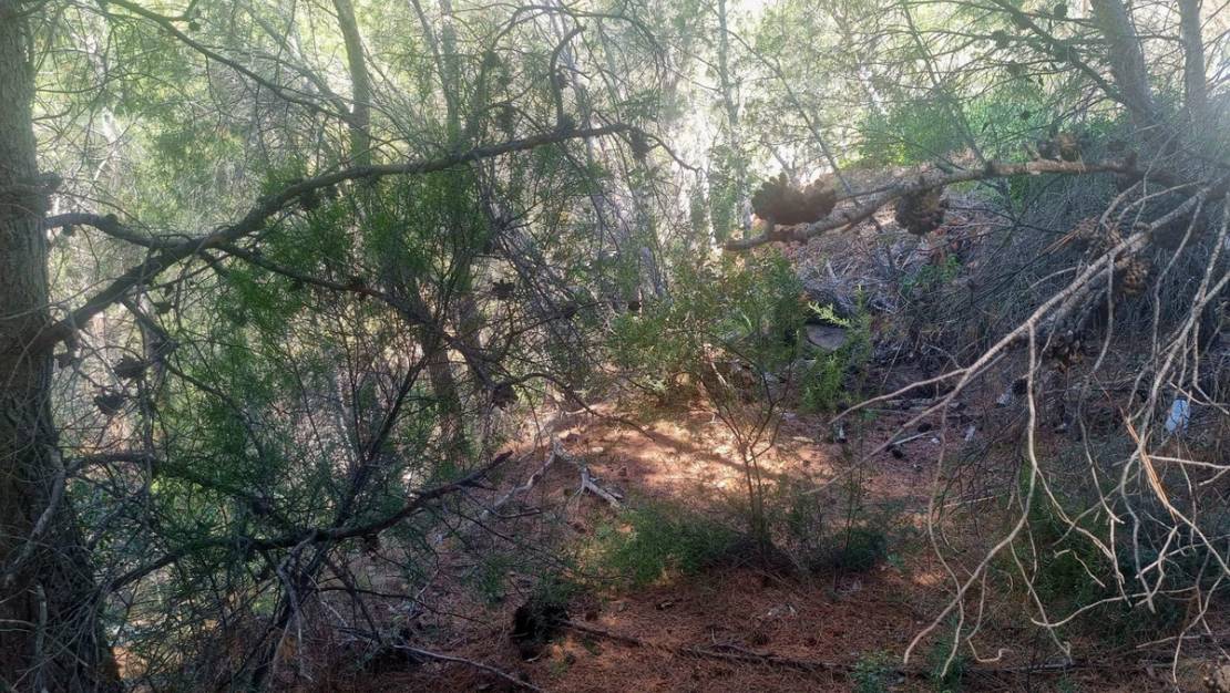 Venta - Commercial property - Altea - Altea Centro