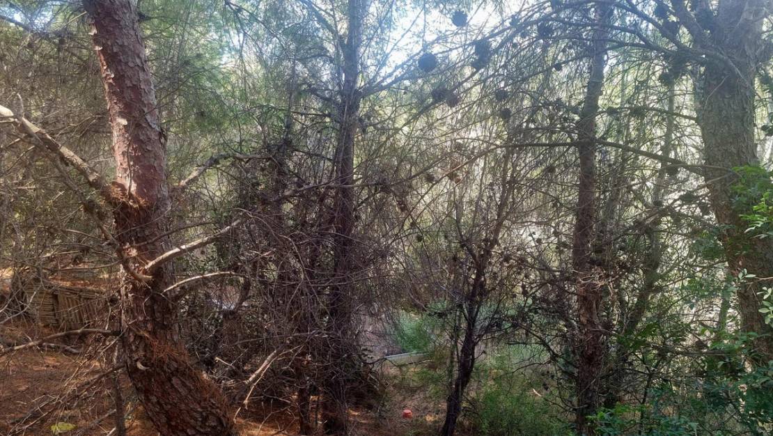 Venta - Commercial property - Altea - Altea Centro