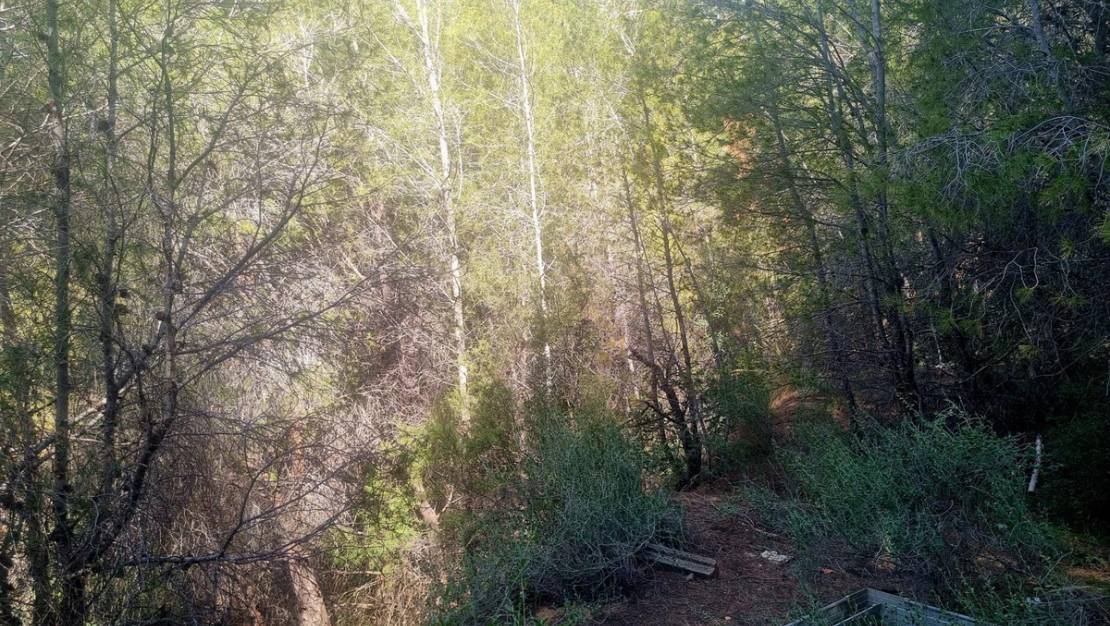 Venta - Commercial property - Altea - Altea Centro