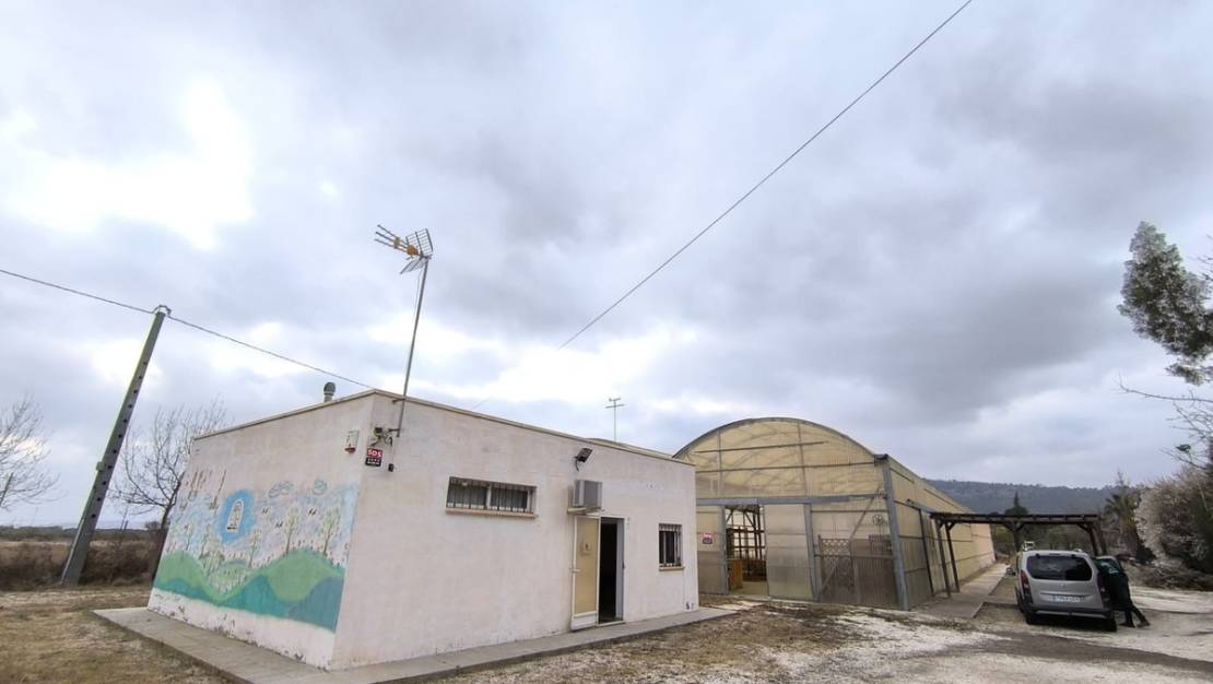 Venta - Commercial property - Aspe - Aspe Centro