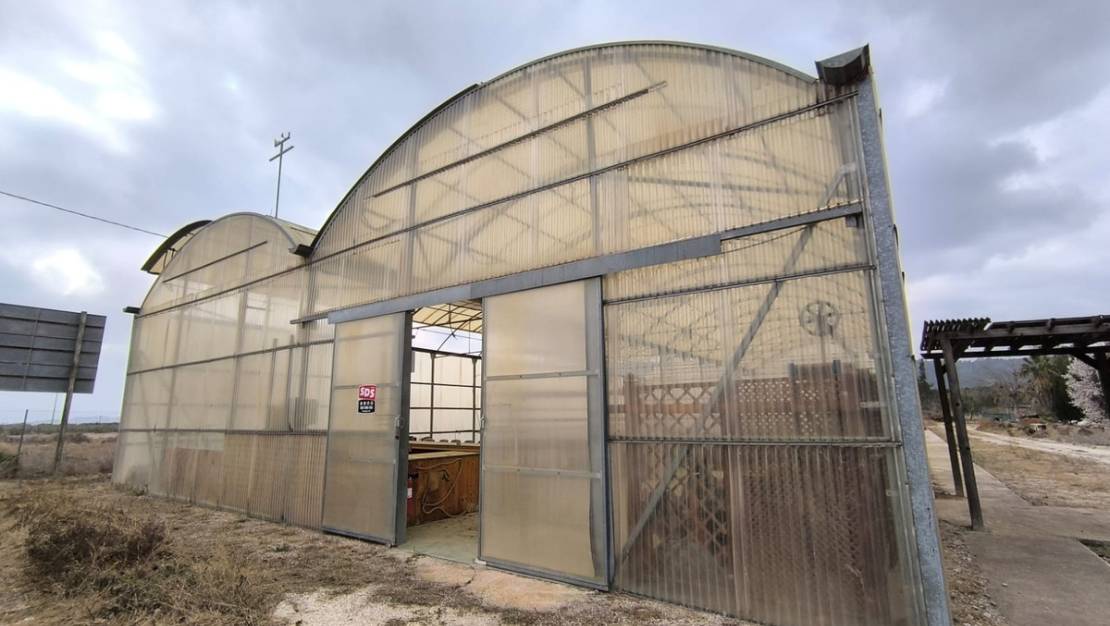 Venta - Commercial property - Aspe - Aspe Centro