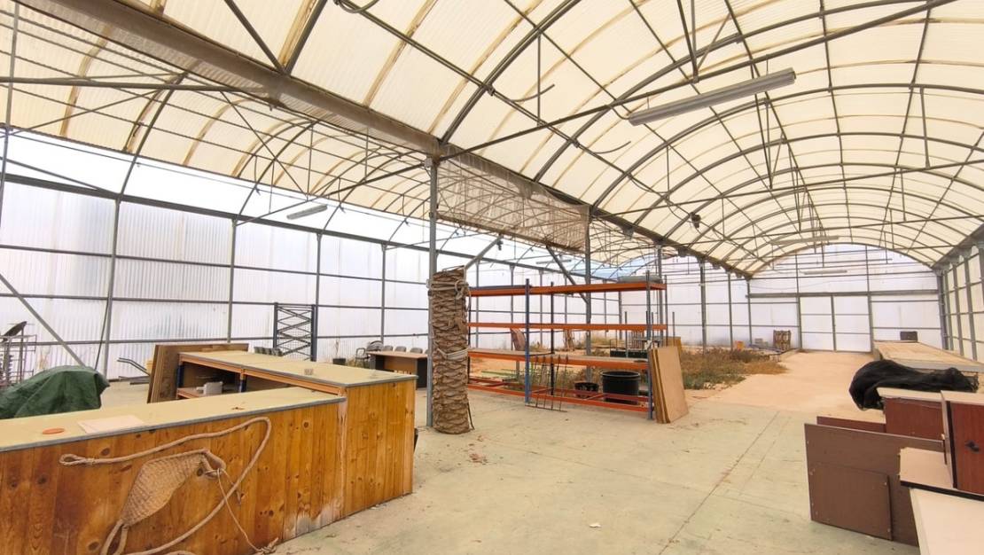 Venta - Commercial property - Aspe - Aspe Centro