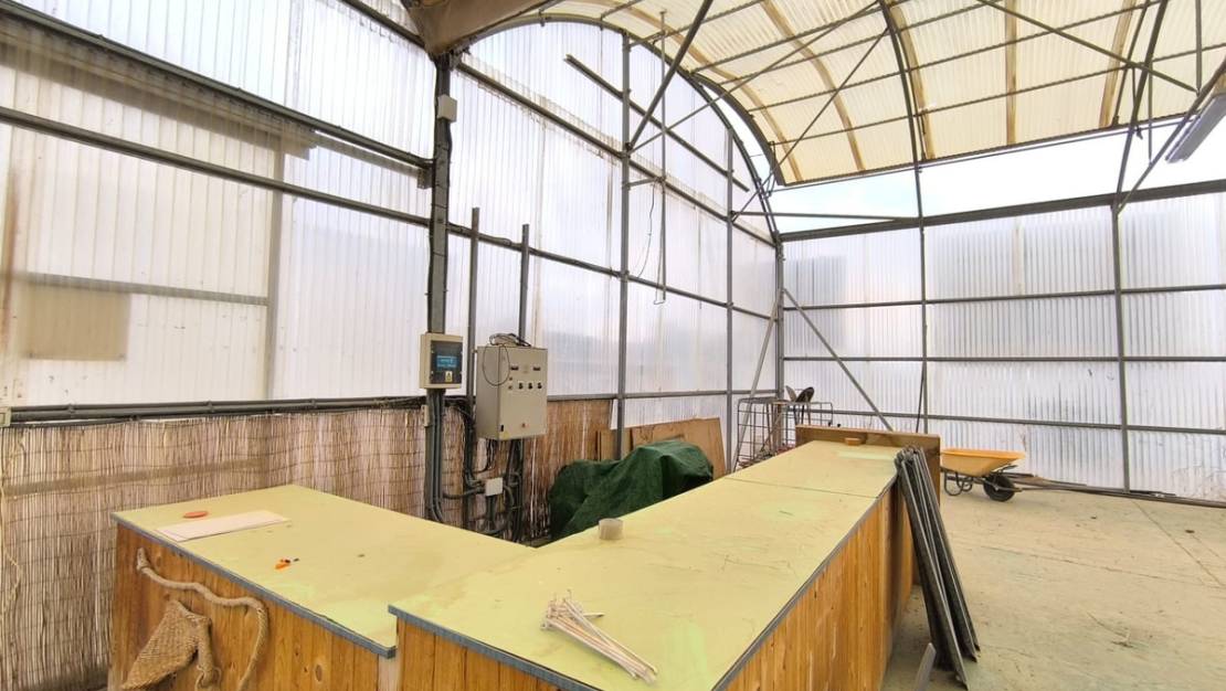 Venta - Commercial property - Aspe - Aspe Centro