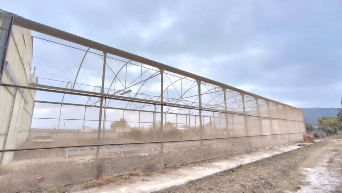 Venta - Commercial property - Aspe - Aspe Centro