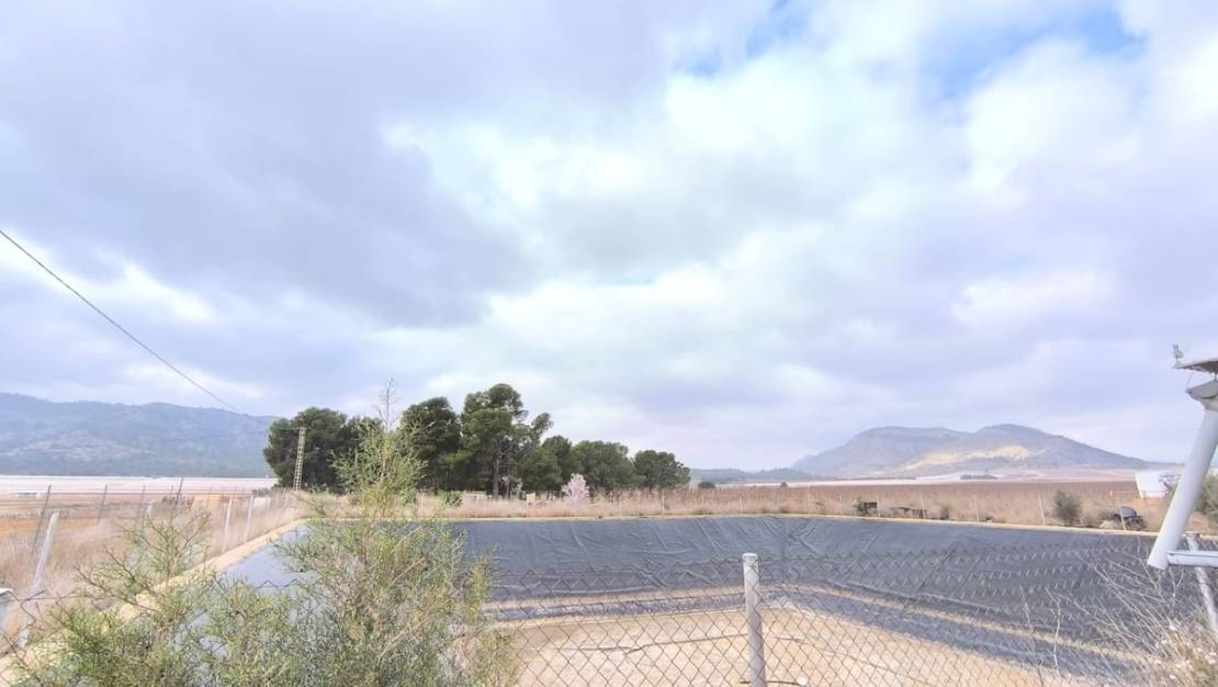 Venta - Commercial property - Aspe - Aspe Centro