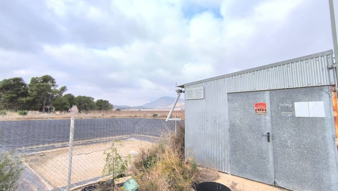 Venta - Commercial property - Aspe - Aspe Centro