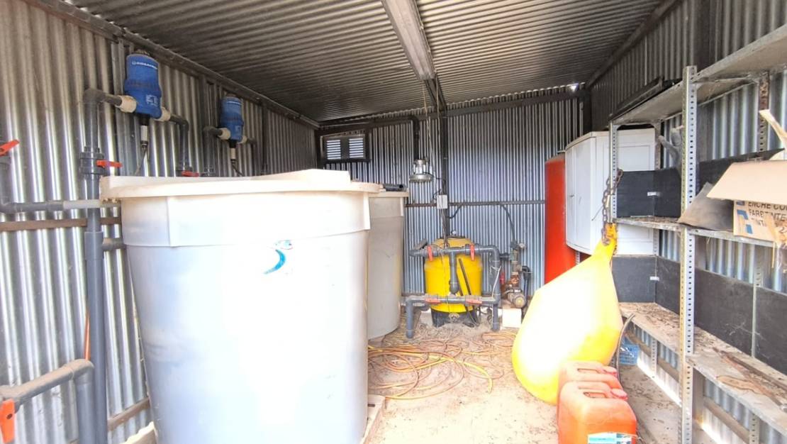 Venta - Commercial property - Aspe - Aspe Centro