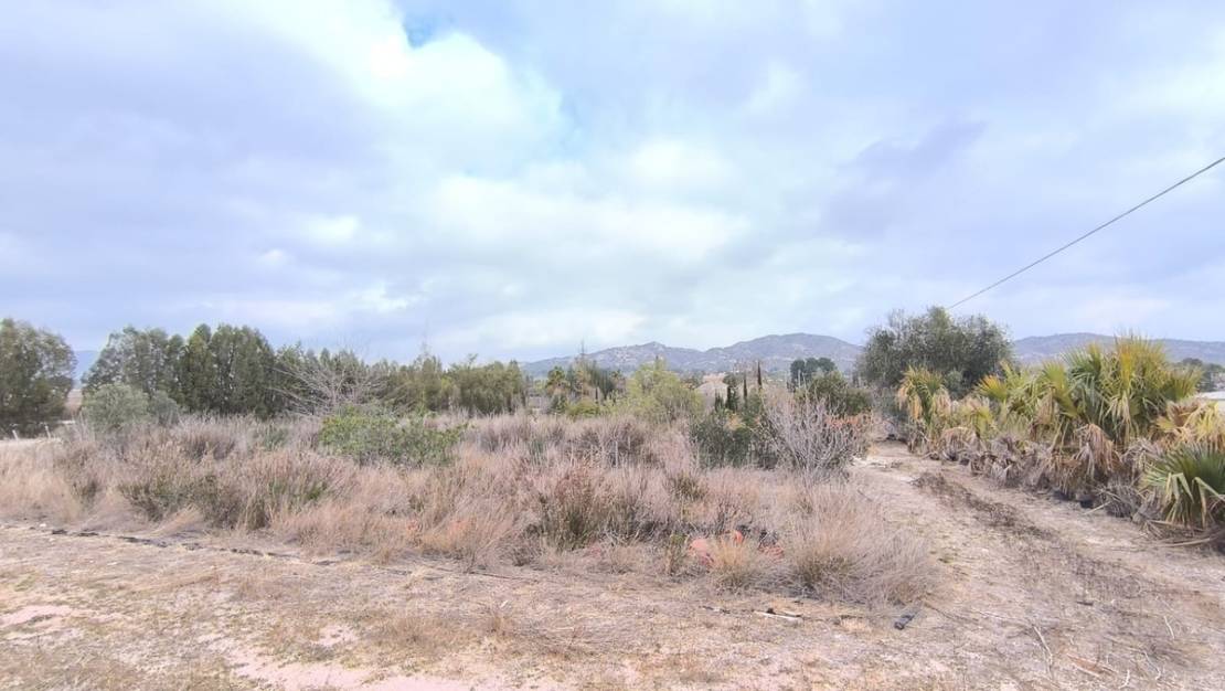 Venta - Commercial property - Aspe - Aspe Centro