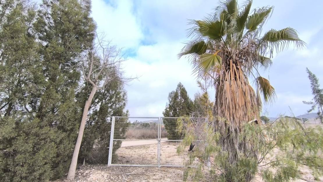 Venta - Commercial property - Aspe - Aspe Centro