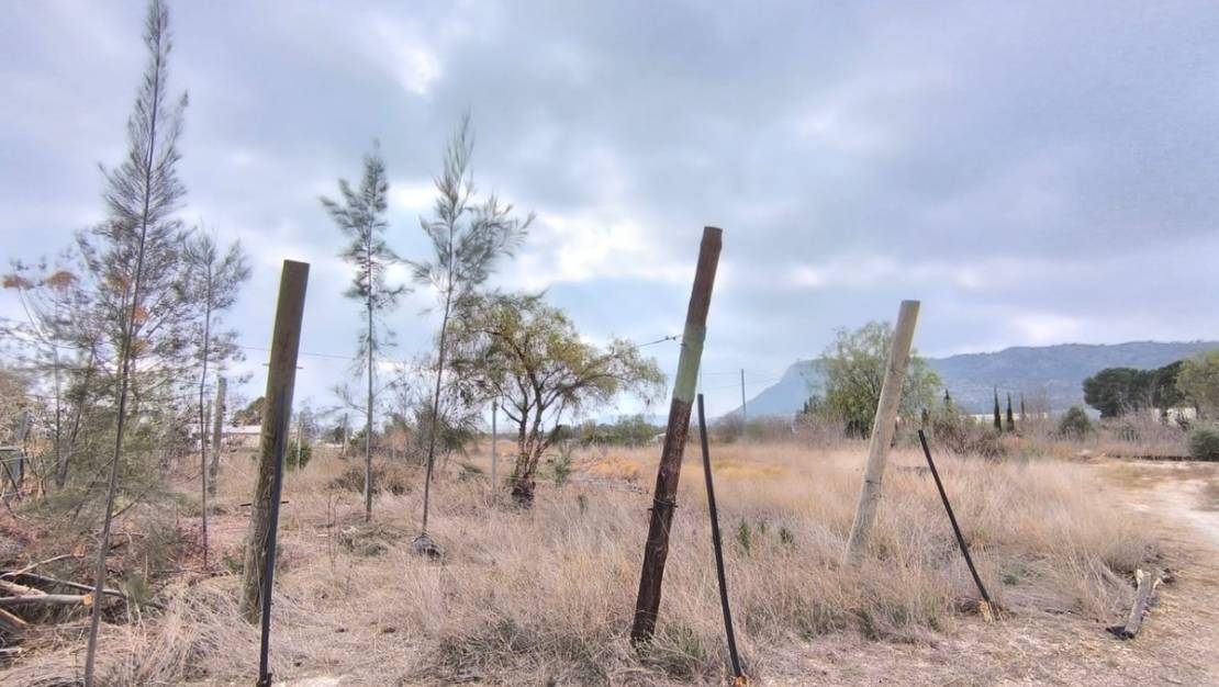 Venta - Commercial property - Aspe - Aspe Centro