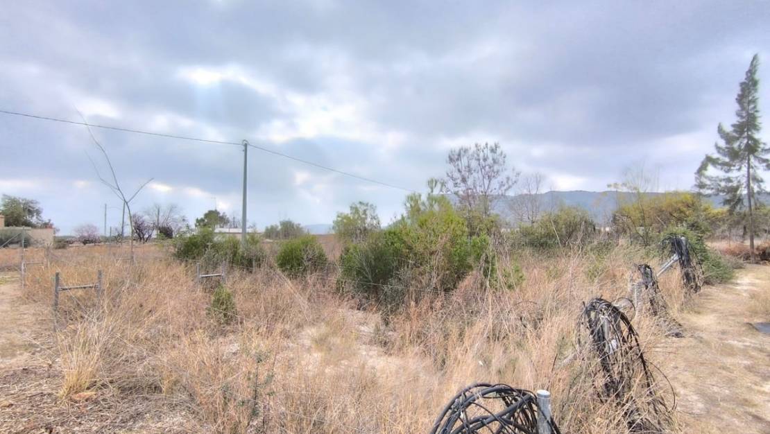 Venta - Commercial property - Aspe - Aspe Centro