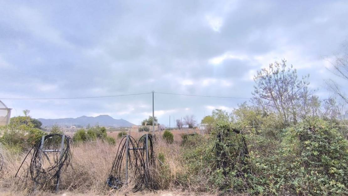 Venta - Commercial property - Aspe - Aspe Centro