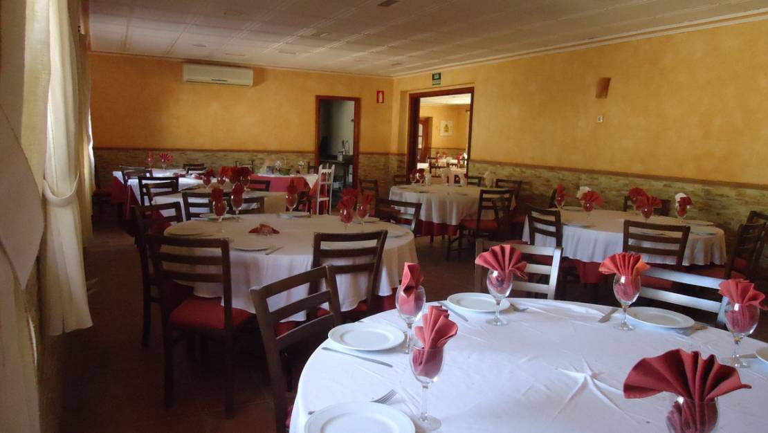 Venta - Commercial property - Fortuna - Fortuna Centro