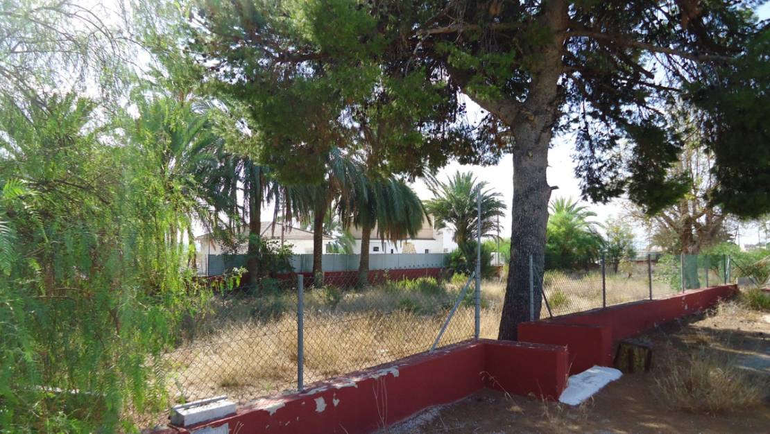 Venta - Commercial property - Fortuna - Fortuna Centro