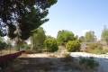Venta - Commercial property - Fortuna - Fortuna Centro