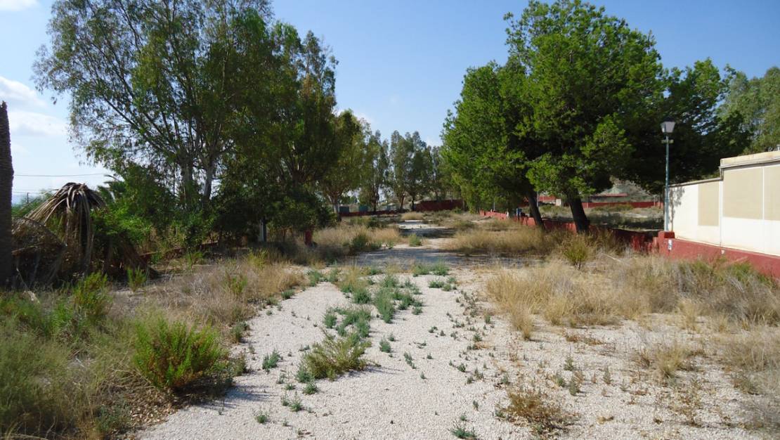 Venta - Commercial property - Fortuna - Fortuna Centro