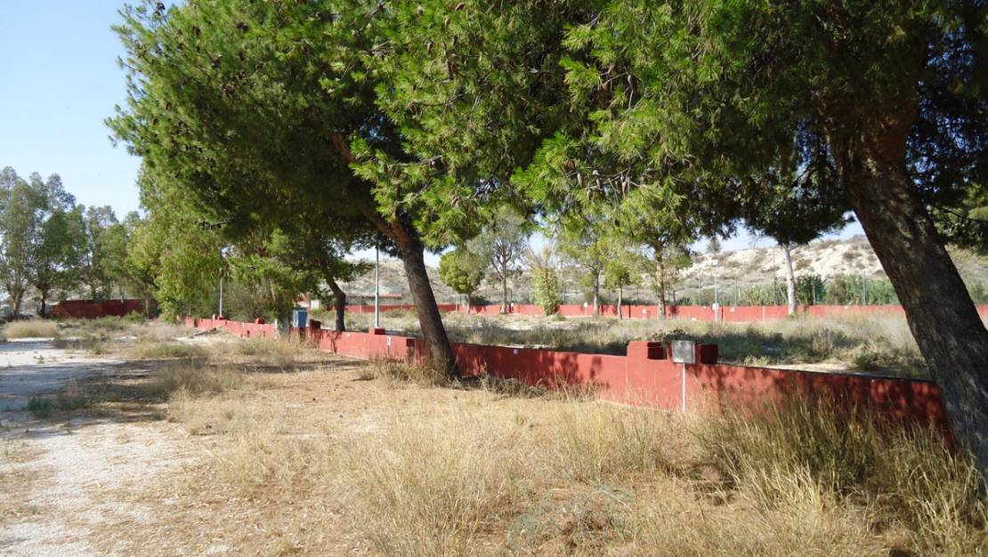 Venta - Commercial property - Fortuna - Fortuna Centro