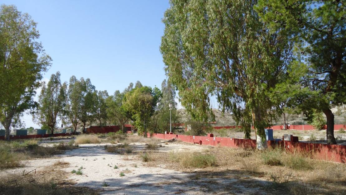 Venta - Commercial property - Fortuna - Fortuna Centro