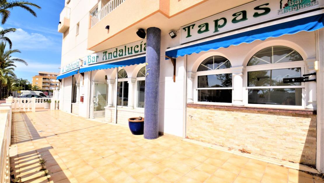 Venta - Commercial property - Guardamar del Segura - Guardamar del Segura Centro