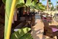 Venta - Commercial property - Guardamar del Segura - Guardamar del Segura Centro