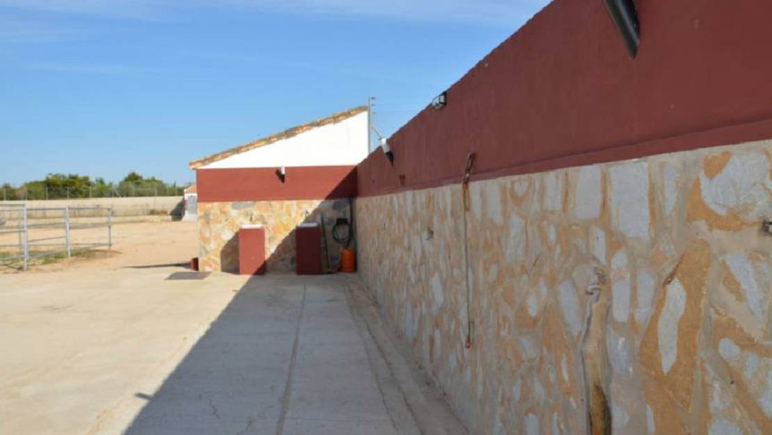 Venta - Commercial property - San Miguel de Salinas - San Miguel de Salinas Centro