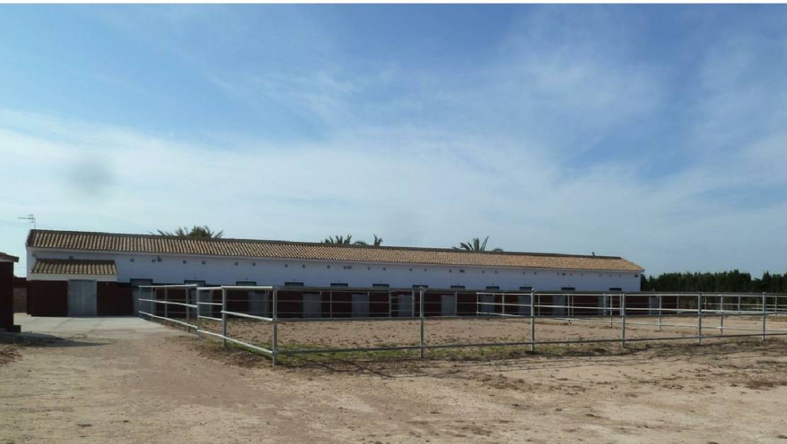 Venta - Commercial property - San Miguel de Salinas - San Miguel de Salinas Centro