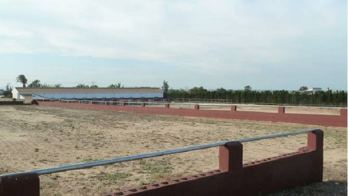 Venta - Commercial property - San Miguel de Salinas - San Miguel de Salinas Centro