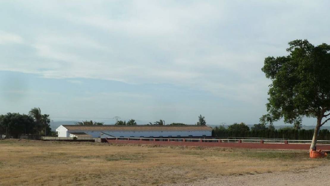 Venta - Commercial property - San Miguel de Salinas - San Miguel de Salinas Centro