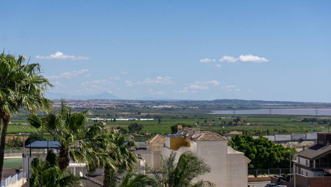 Venta - Commercial property - San Miguel de Salinas - San Miguel de Salinas Centro