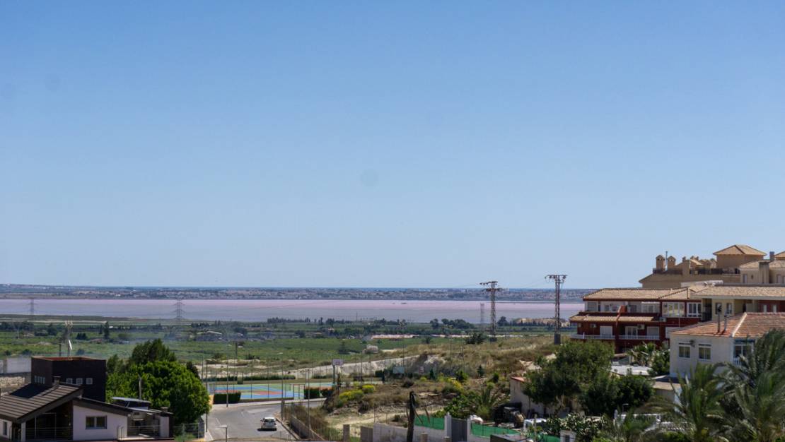 Venta - Commercial property - San Miguel de Salinas - San Miguel de Salinas Centro