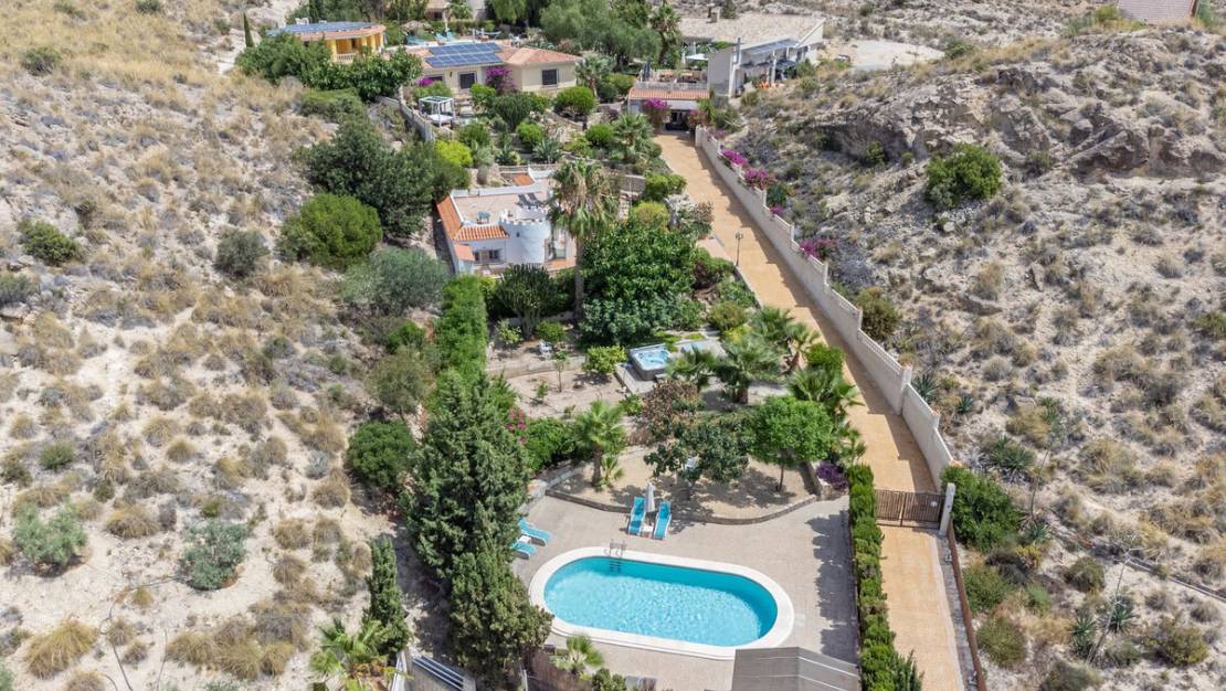 Venta - Commercial property - San Vicente del Raspeig - San Vicente del Raspeig Centro