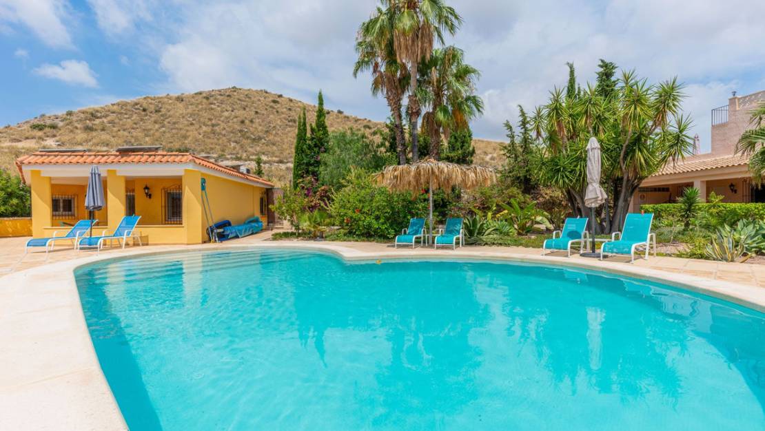 Venta - Commercial property - San Vicente del Raspeig - San Vicente del Raspeig Centro