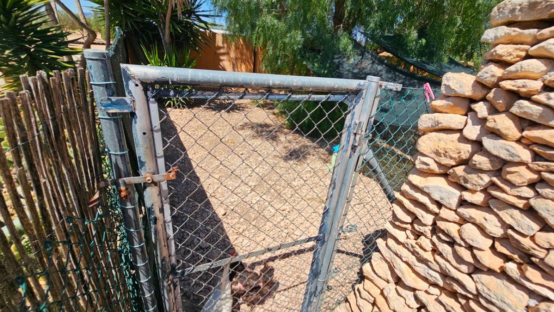 Venta - Commercial property - Sax - Sax Centro