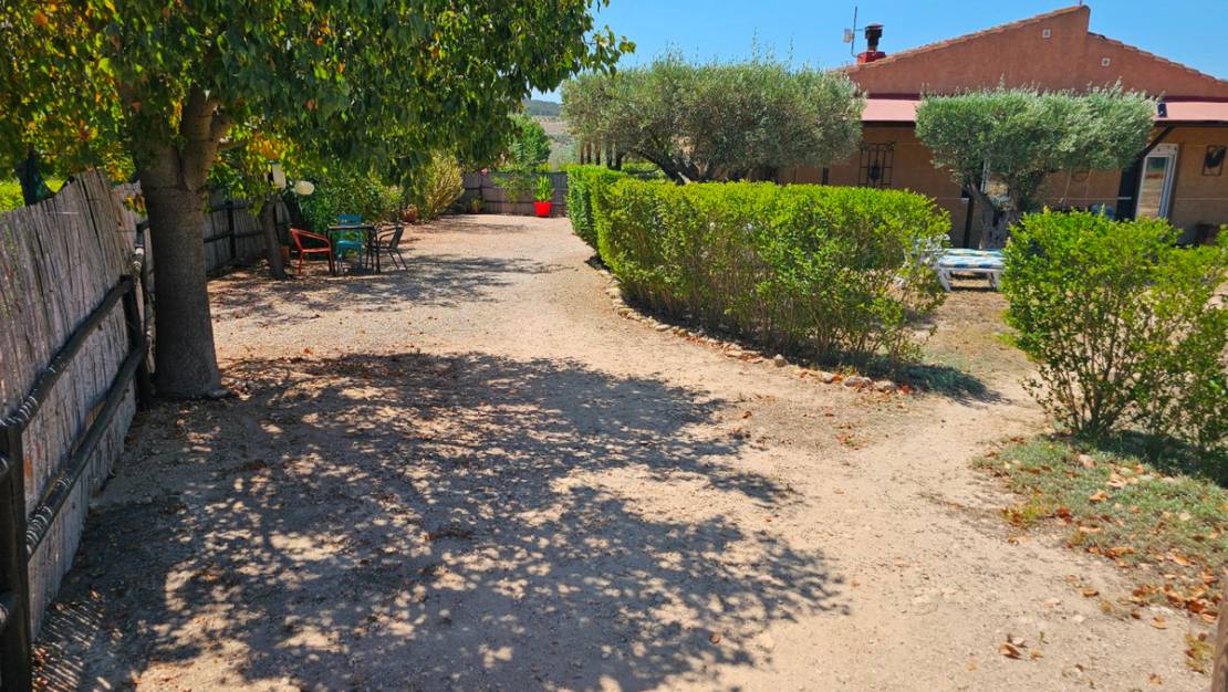 Venta - Commercial property - Sax - Sax Centro