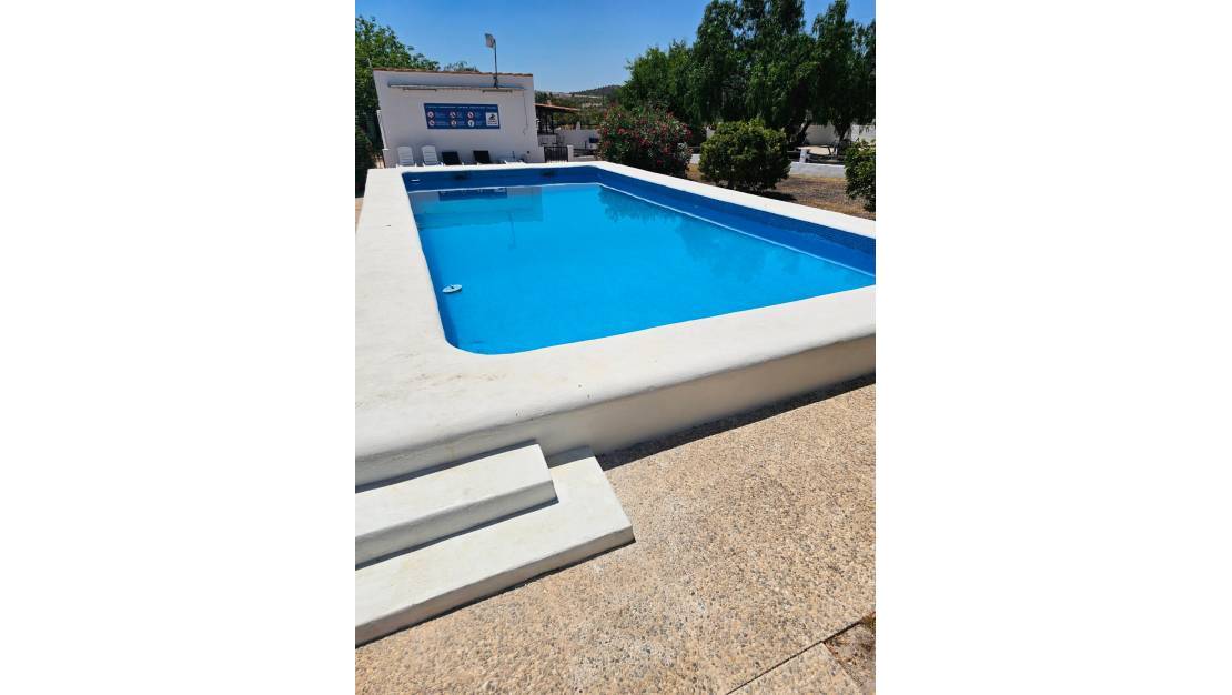 Venta - Commercial property - Sax - Sax Centro