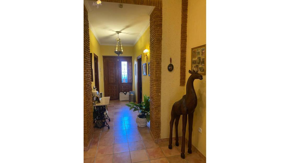 Venta - Commercial property - Torrevieja - Torrevieja Centro