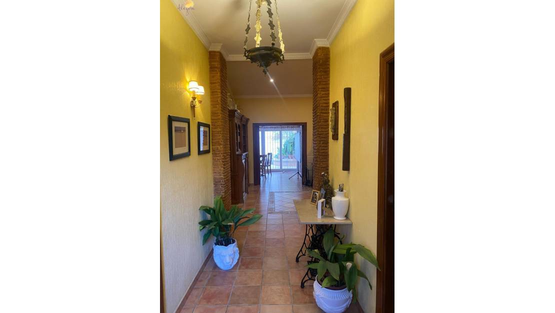 Venta - Commercial property - Torrevieja - Torrevieja Centro