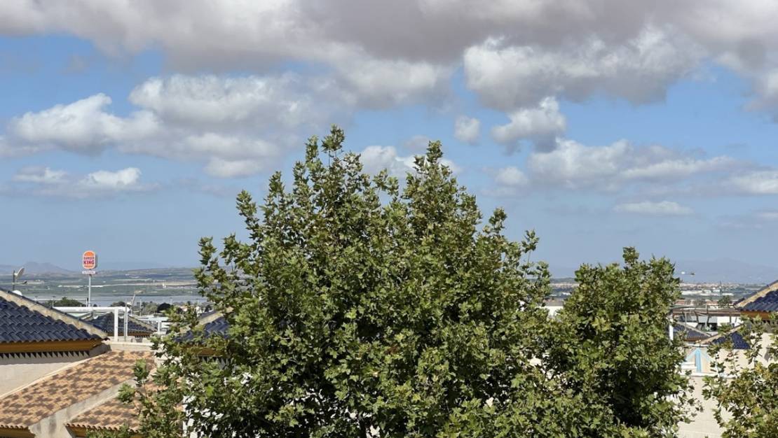Venta - Commercial property - Torrevieja - Torrevieja Centro