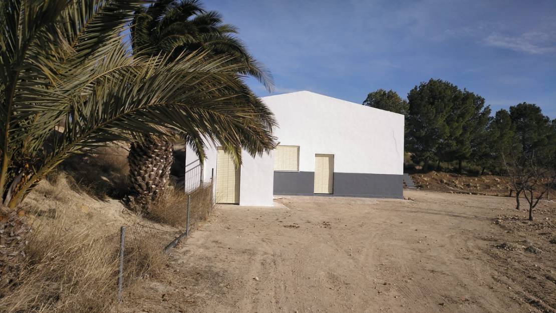 Venta - Commercial property - Yecla - Yecla Centro