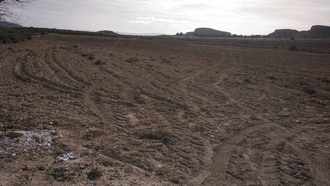 Venta - Commercial property - Yecla - Yecla Centro