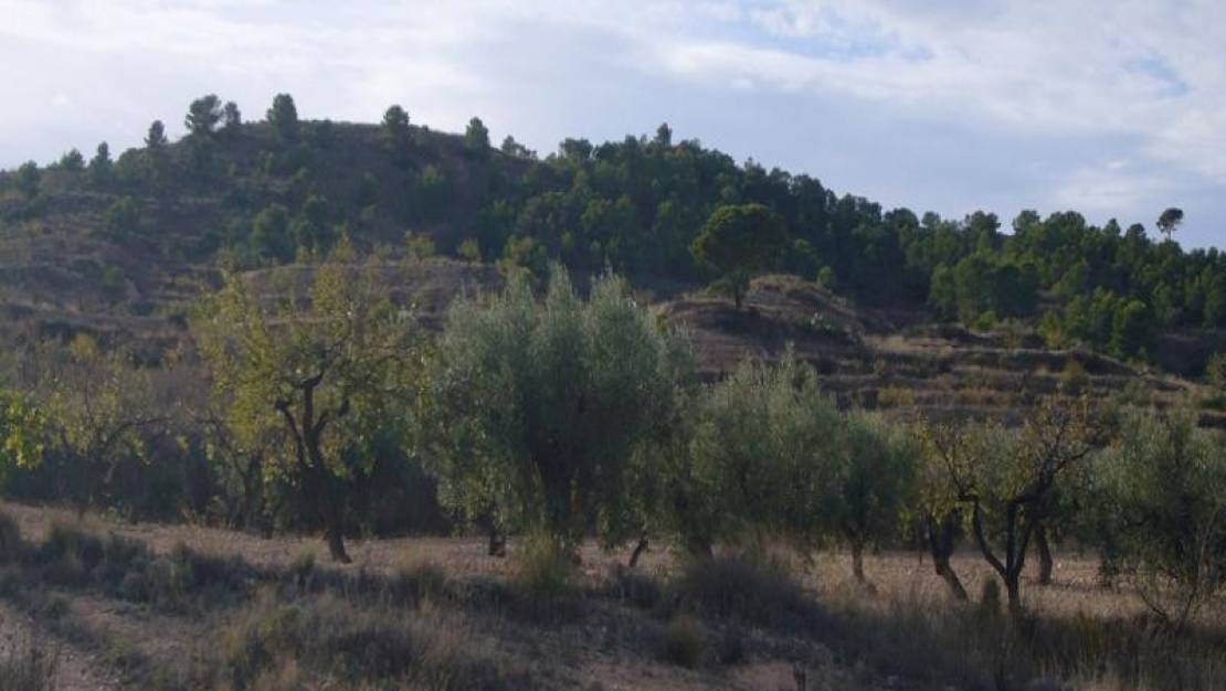 Venta - Country House - Abanilla - Macisvenda