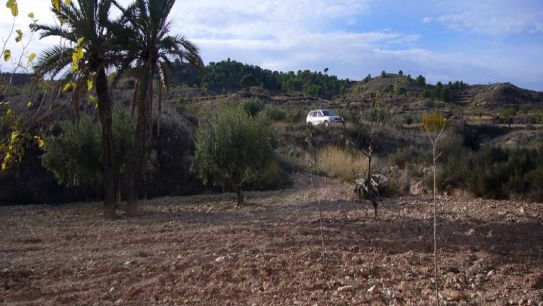 Venta - Country House - Abanilla - Macisvenda