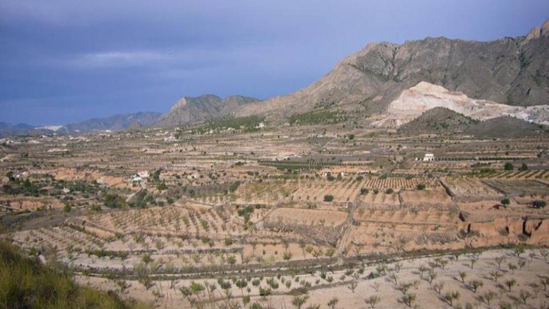 Venta - Country House - Abanilla - Macisvenda