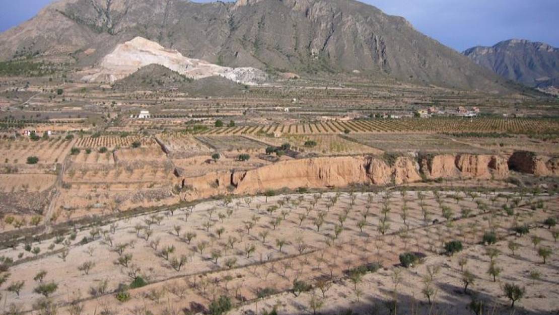 Venta - Country House - Abanilla - Macisvenda