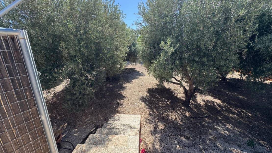 Venta - Country House - Albatera - Albatera Centro