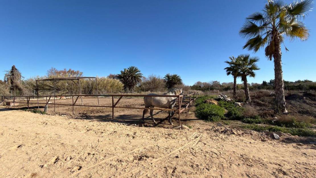 Venta - Country House - Algorfa - Algorfa Centro