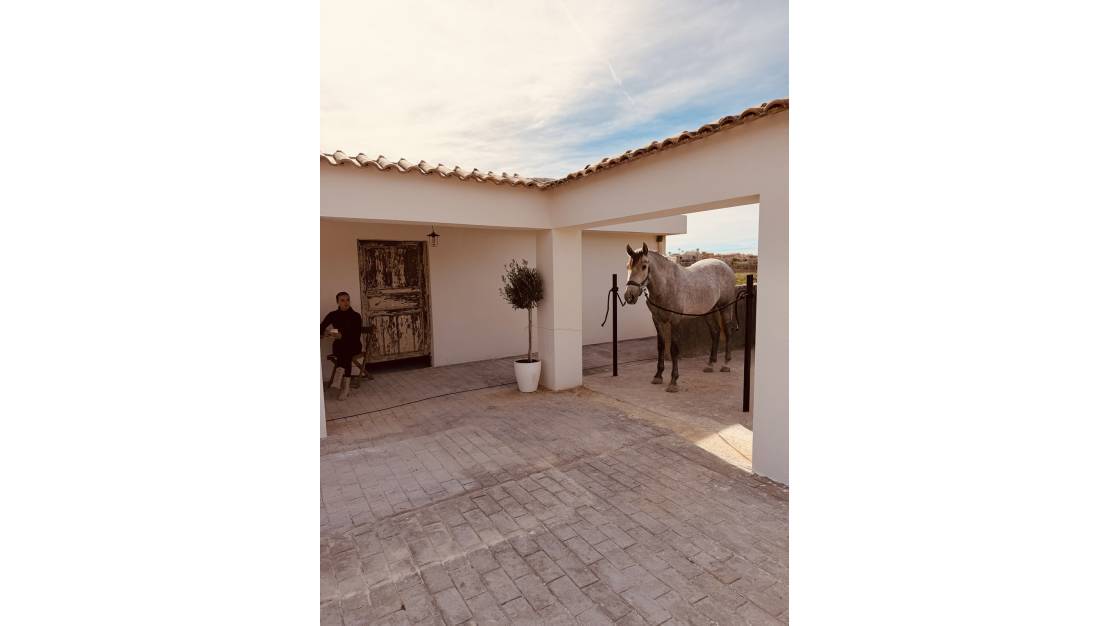 Venta - Country House - Algorfa - Algorfa Centro